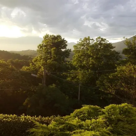 La Civetta Bed & Breakfast