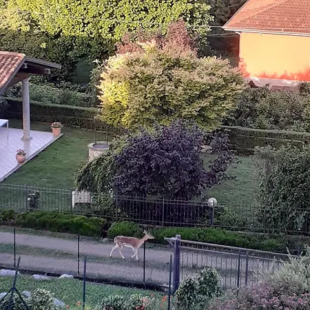 La Civetta * Reno Di Leggiuno