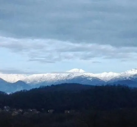 猫头鹰住宿加早餐旅馆 住宿加早餐酒店 3*