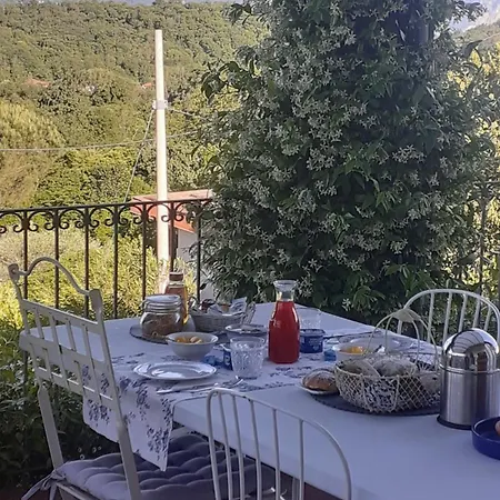 Bed and Breakfast La Civetta